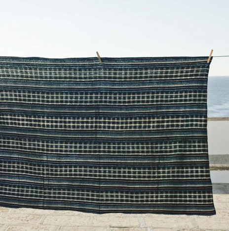 Nigerian Indigo